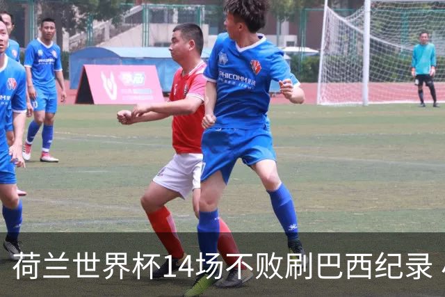 荷兰世界杯14场不败刷巴西纪录 小组赛35战2负从未出局